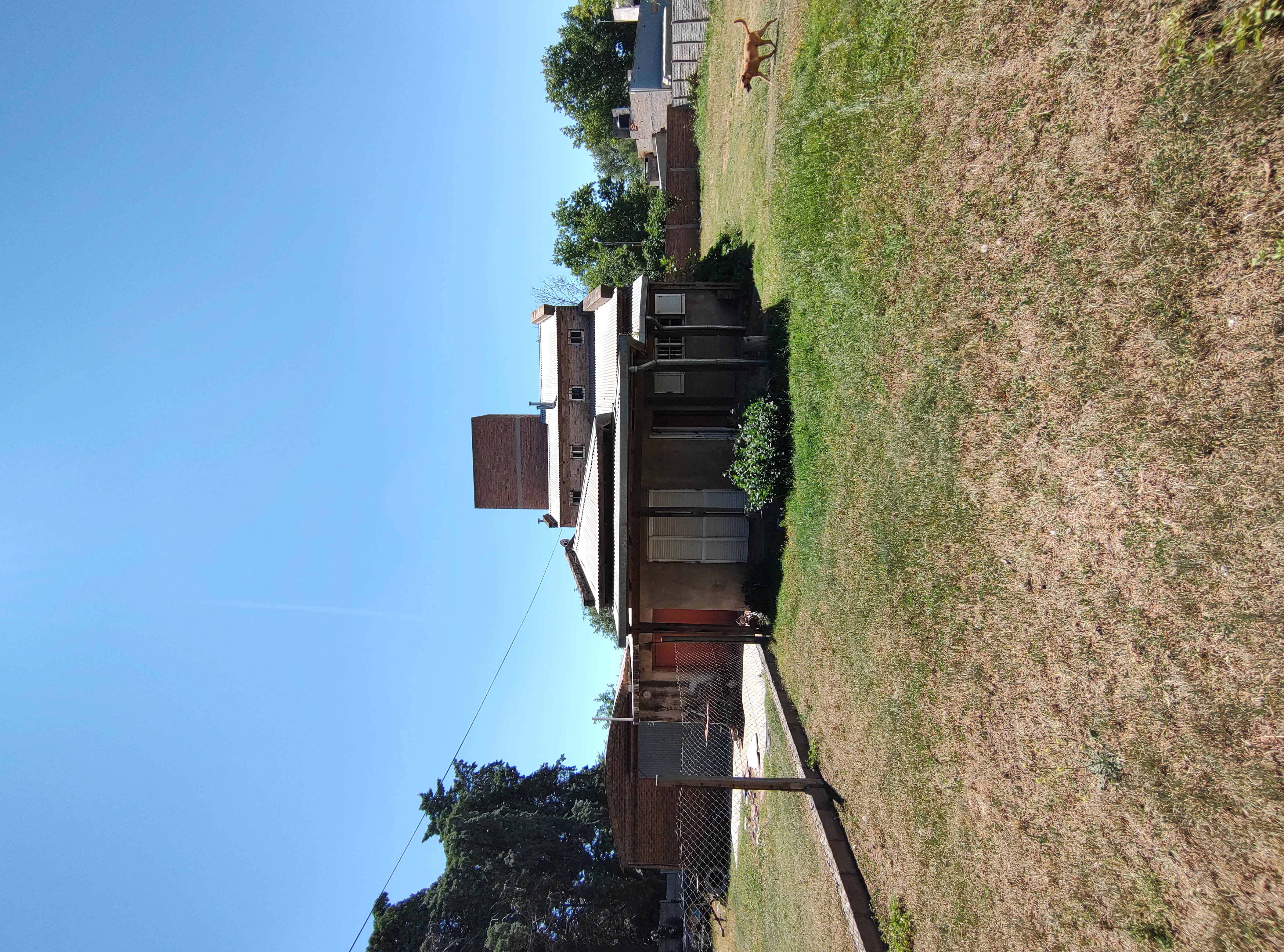 Miniatura 15